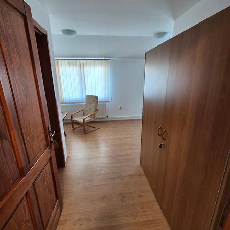 Wolf Apartments Sangeorgiu de Mures Ngoại thất bức ảnh